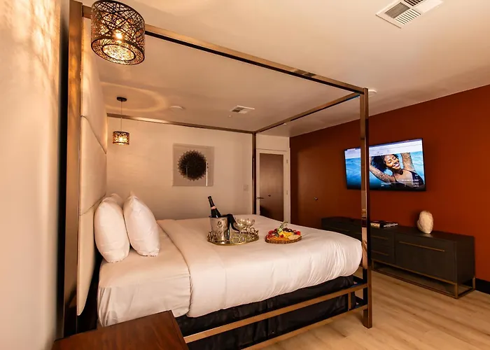 Best Cat-Friendly Hotels Las Vegas