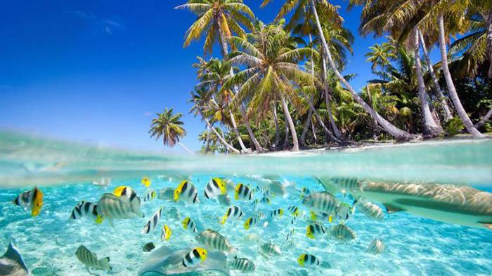 Luxury resorts: The best for a digital detox!