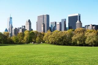 30+ Best Things to Do in New York City